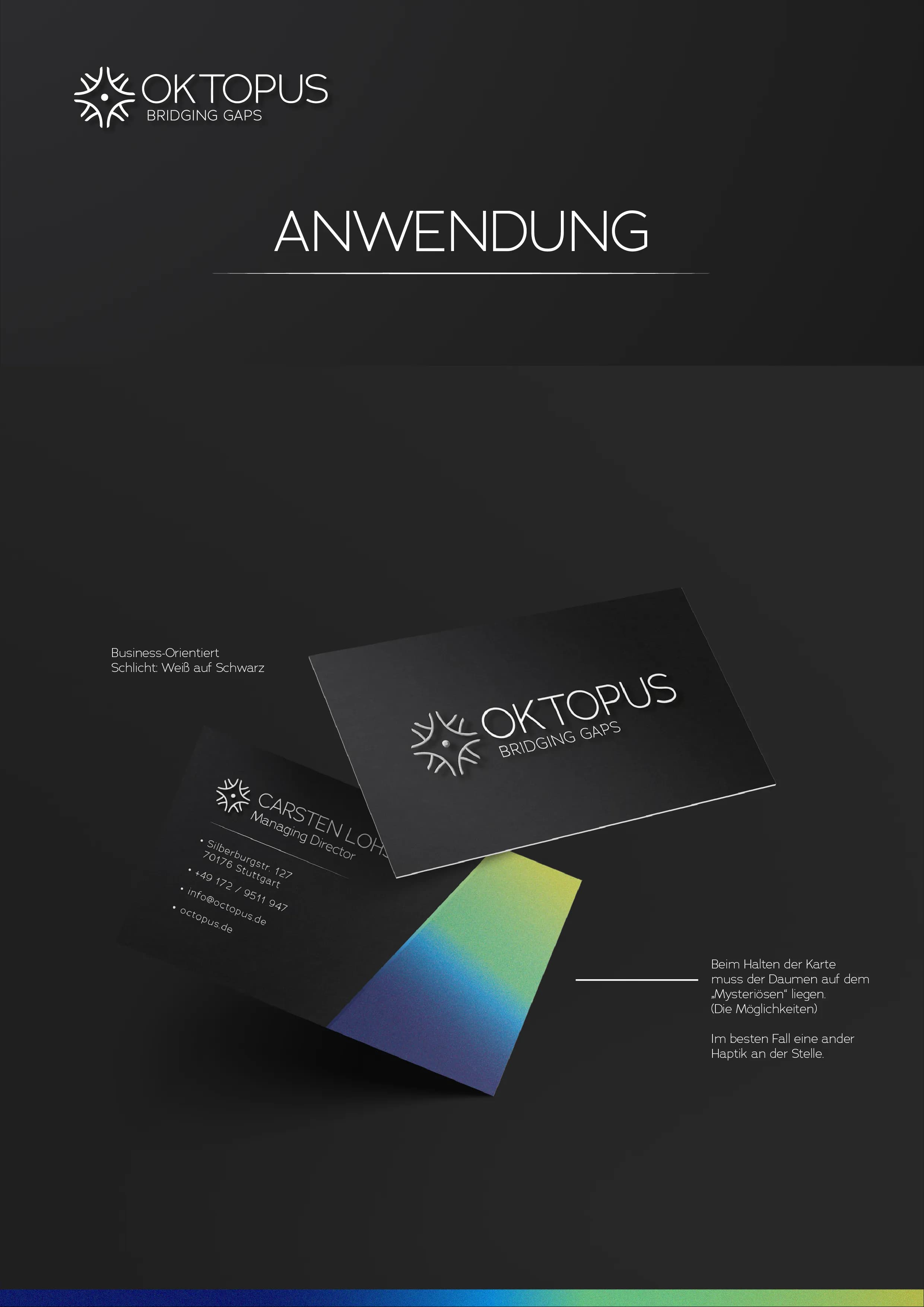 Oktopus Bridging Gaps gallery media 5