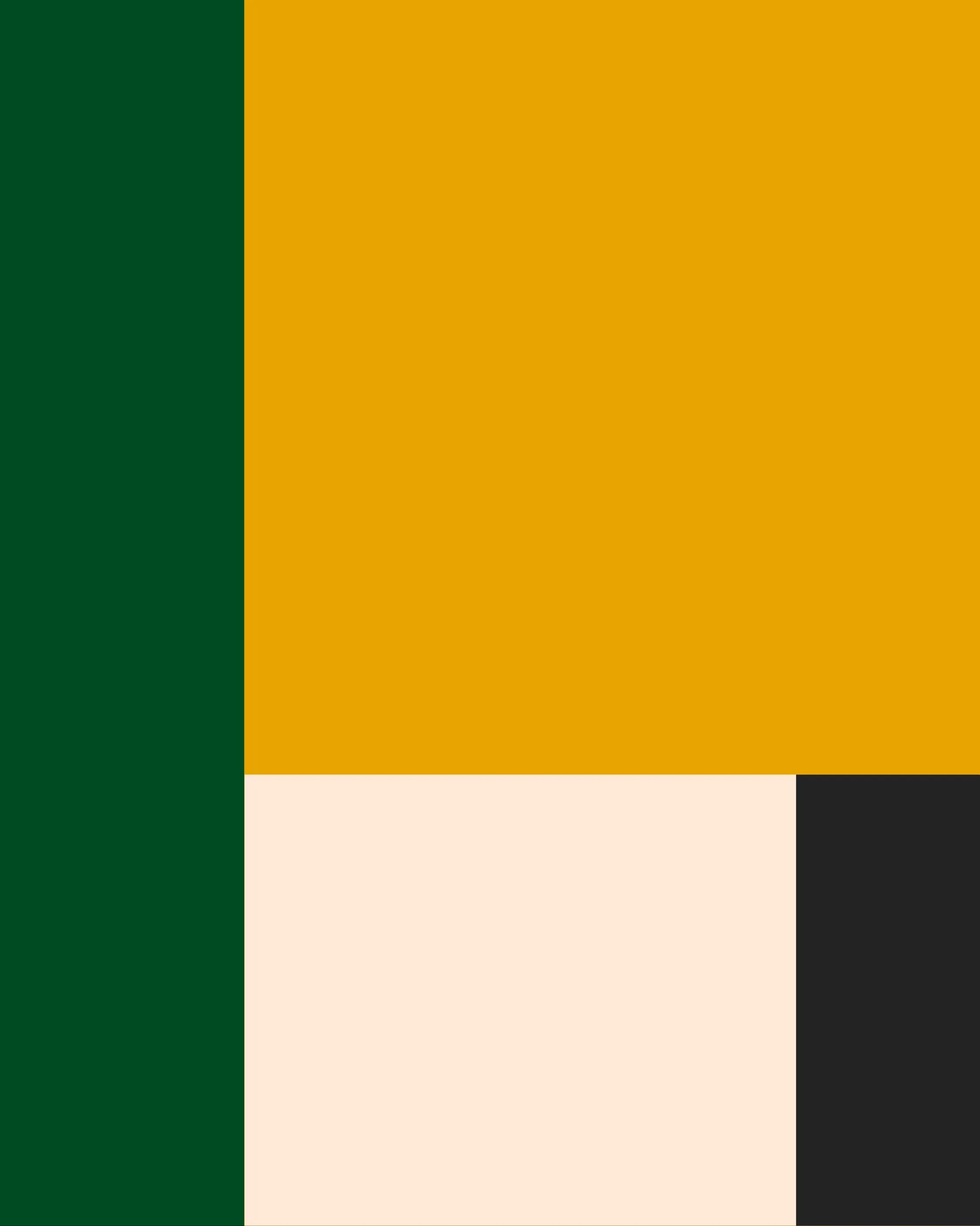 Gartenpflege Lang gallery media 2