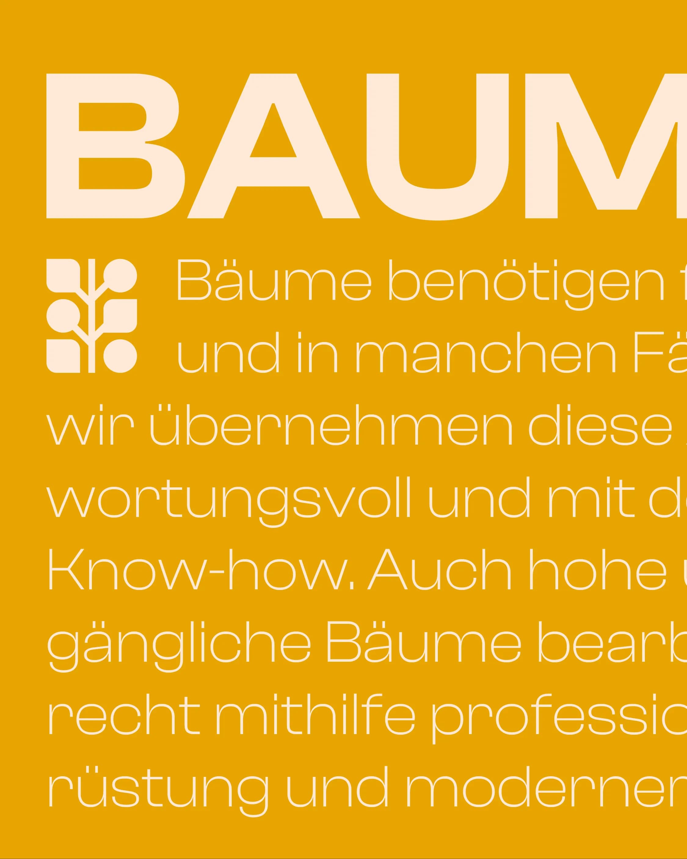 Gartenpflege Lang gallery media 3